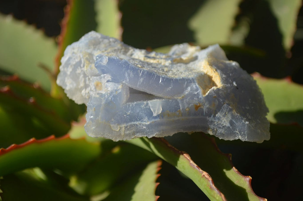 Natural Etched Blue Chalcedony Specimens  x 6 From Nsanje, Malawi - Toprock Gemstones and Minerals 