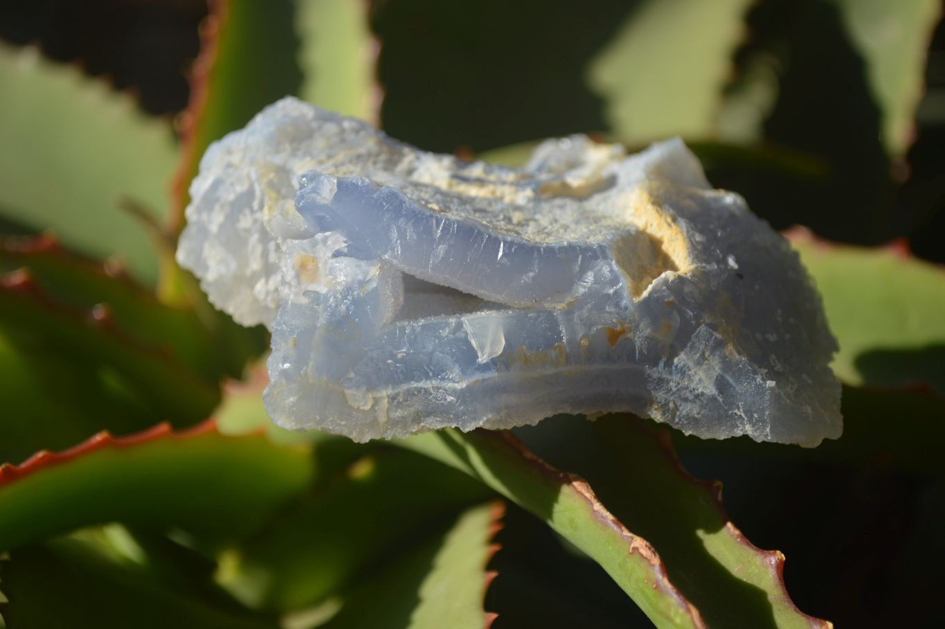 Natural Etched Blue Chalcedony Specimens  x 6 From Nsanje, Malawi - Toprock Gemstones and Minerals 