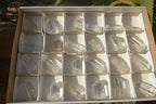 Polished Semi Optic Quartz Points x 24 From Madagascar - Toprock Gemstones and Minerals 