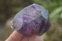 Natural Smokey Skeletal Amethyst Crystals  x 12 From Chiredzi, Zimbabwe - Toprock Gemstones and Minerals 