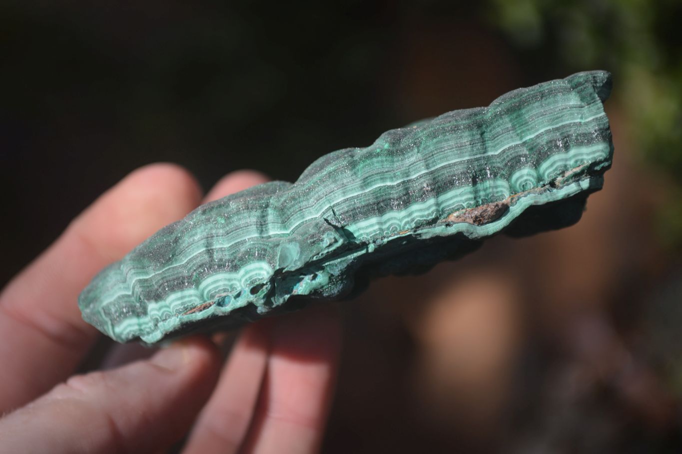 Natural Crystalline Botryoidal Malachite Specimens  x 5 From Kambove, Congo - Toprock Gemstones and Minerals 