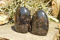 Polished Groovy New Spotted Iolite / Water Sapphire Standing Free Forms  x 2 From Madagascar - TopRock