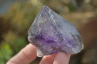 Natural Smokey Skeletal Amethyst Crystals  x 12 From Chiredzi, Zimbabwe - Toprock Gemstones and Minerals 