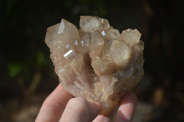 Natural Cascading White Phantom Smokey Quartz Clusters  x 6 From Luena, Congo - Toprock Gemstones and Minerals 