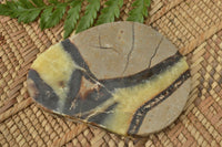 Polished Septerye (Calcite & Aragonite) Slices x 6 From Mahajanga, Madagascar - TopRock