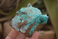 Natural Drusy Coated Chrysocolla & Malachite Specimens x 3 From Likasi, Congo - Toprock Gemstones and Minerals 