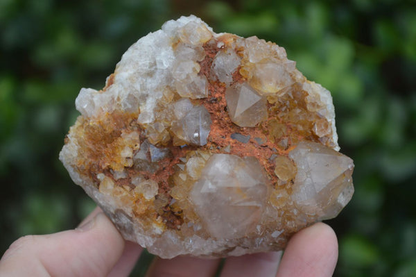 Natural Mixed Spirit Quartz Clusters  x 12 From Boekenhouthoek, South Africa - Toprock Gemstones and Minerals 