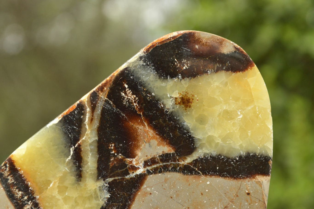 Polished Septerye (Calcite & Aragonite) Slices x 6 From Mahajanga, Madagascar - TopRock