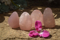 Polished  Pink Rose Quartz Standing Free Forms x 4 From Ambatondrazaka, Madagascar - TopRock