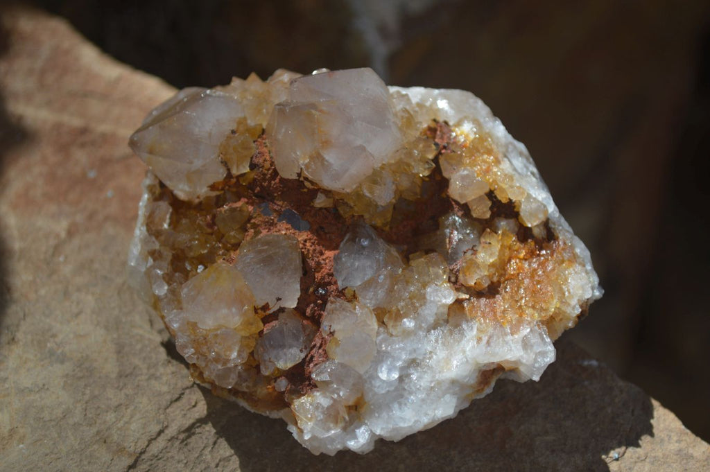 Natural Mixed Spirit Quartz Clusters  x 12 From Boekenhouthoek, South Africa - Toprock Gemstones and Minerals 
