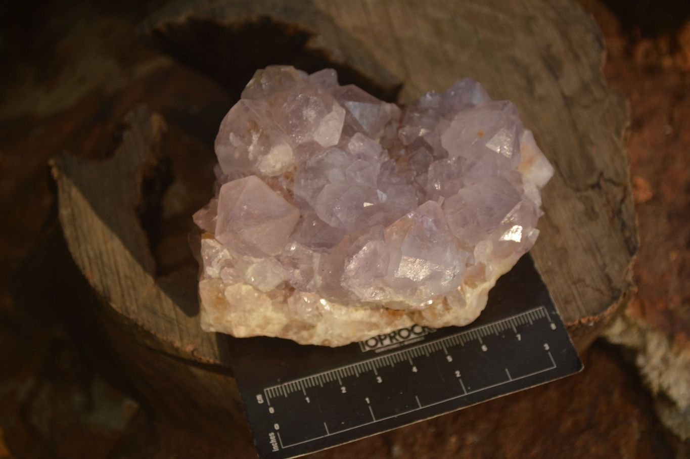 Natural Spirit Amethyst Quartz Clusters x 4 From Boekenhouthoek, South Africa - Toprock Gemstones and Minerals 