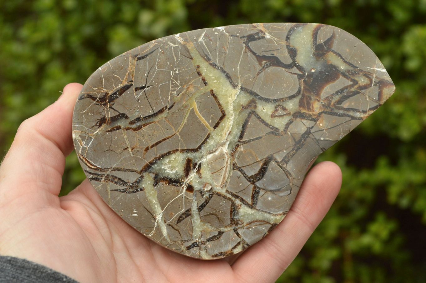 Polished Septerye (Calcite & Aragonite) Slices x 6 From Mahajanga, Madagascar - TopRock