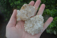 Natural Limonite Tinted Quartz Crystal Plates  x 35 From Zambia - Toprock Gemstones and Minerals 