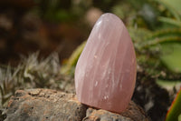Polished  Pink Rose Quartz Standing Free Forms x 4 From Ambatondrazaka, Madagascar - TopRock
