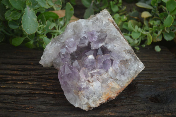 Natural Jacaranda Amethyst Cluster x 1 From Mumbwa, Zambia - TopRock