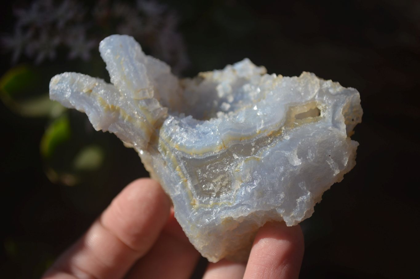 Natural Etched Blue Chalcedony Specimens  x 6 From Nsanje, Malawi - Toprock Gemstones and Minerals 