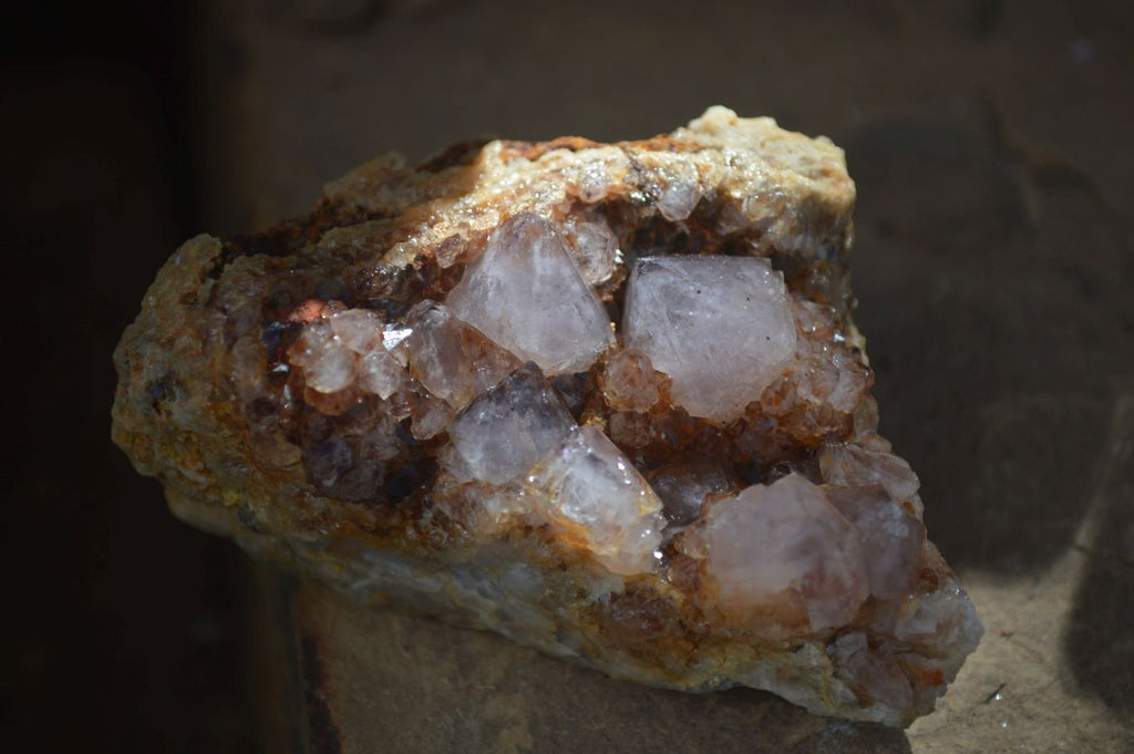 Natural Mixed Spirit Quartz Clusters  x 12 From Boekenhouthoek, South Africa - Toprock Gemstones and Minerals 