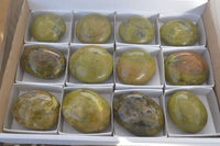 Polished Large Green Opal Galet - Palm Stone x 12 From Madagascar - Toprock Gemstones and Minerals 