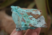 Natural Drusy Coated Chrysocolla & Malachite Specimens x 3 From Likasi, Congo - Toprock Gemstones and Minerals 