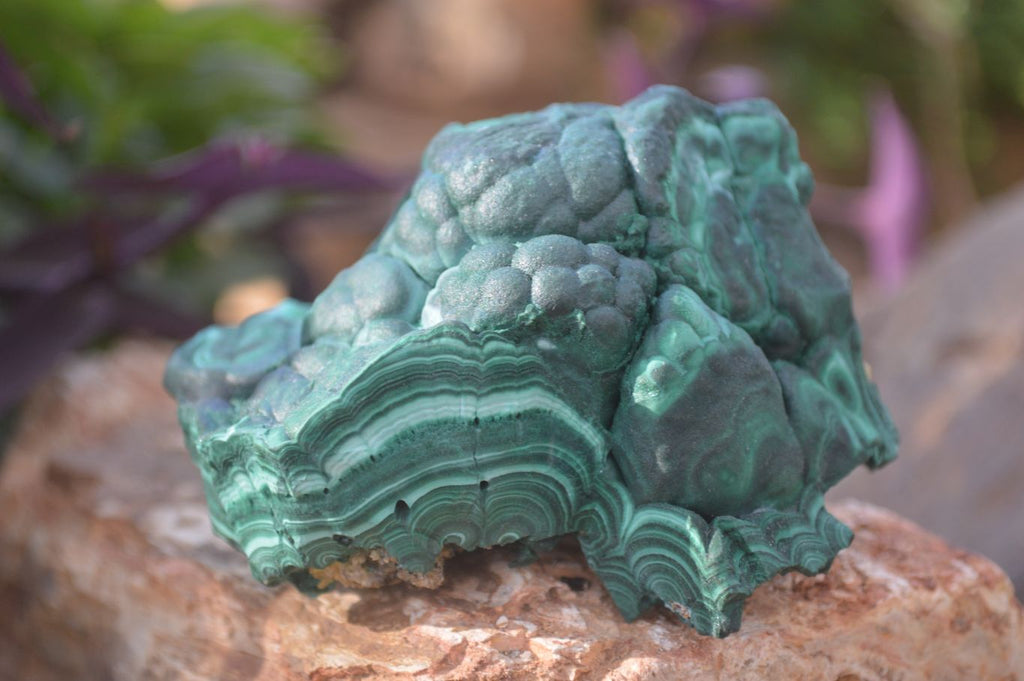 Natural Crystalline Botryoidal Malachite Specimens  x 5 From Kambove, Congo - Toprock Gemstones and Minerals 