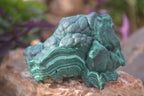 Natural Crystalline Botryoidal Malachite Specimens  x 5 From Kambove, Congo - Toprock Gemstones and Minerals 