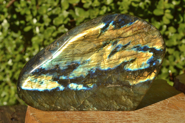 Polished Blue Sunset Labradorite Standing Free Forms x 2 From Madagascar - TopRock