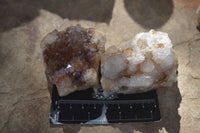 Natural Mixed Spirit Quartz Clusters  x 12 From Boekenhouthoek, South Africa - Toprock Gemstones and Minerals 