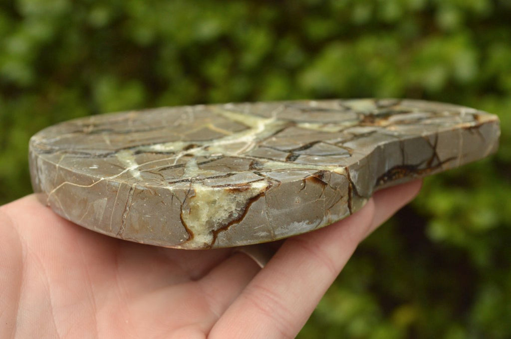 Polished Septerye (Calcite & Aragonite) Slices x 6 From Mahajanga, Madagascar - TopRock