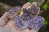 Natural Small Amethyst Plate Specimens  x 53 From Kwaggafontein, South Africa - TopRock