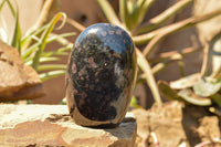 Polished Groovy New Spotted Iolite / Water Sapphire Standing Free Forms  x 2 From Madagascar - TopRock