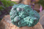 Natural Crystalline Botryoidal Malachite Specimens  x 5 From Kambove, Congo - Toprock Gemstones and Minerals 