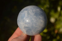 Polished Blue Calcite Spheres x 4 From Ihadilalana, Madagascar - Toprock Gemstones and Minerals 