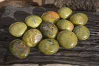 Polished Large Green Opal Galet - Palm Stone x 12 From Madagascar - Toprock Gemstones and Minerals 