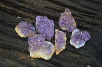 Natural Small Amethyst Plate Specimens  x 53 From Kwaggafontein, South Africa - TopRock