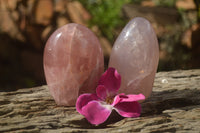 Polished Pink Rose Quartz Standing Free Forms x 2 From Ambatondrazaka, Madagascar - TopRock