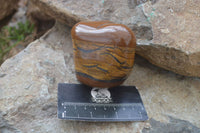 Polished Golden Tigers Eye Free Forms x 3 From Prieska, Northern Cape