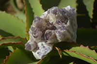 Natural Sugar Amethyst Clusters  x 4 From Solwezi, Zambia