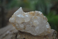 Natural Limonite Tinted Quartz Crystal Plates  x 35 From Zambia - Toprock Gemstones and Minerals 