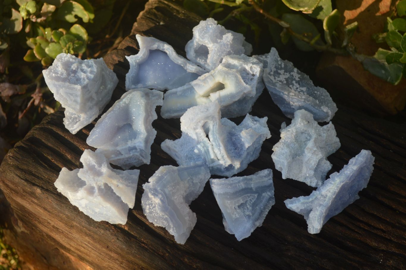 Natural Etched Blue Chalcedony Specimens  x 12 From Nsanje, Malawi - Toprock Gemstones and Minerals 