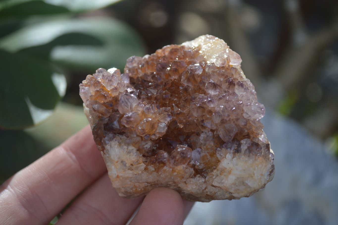 Natural Mixed Spirit Quartz Clusters  x 12 From Boekenhouthoek, South Africa - Toprock Gemstones and Minerals 