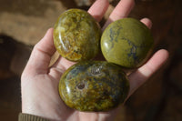 Polished Large Green Opal Galet - Palm Stone x 12 From Madagascar - Toprock Gemstones and Minerals 