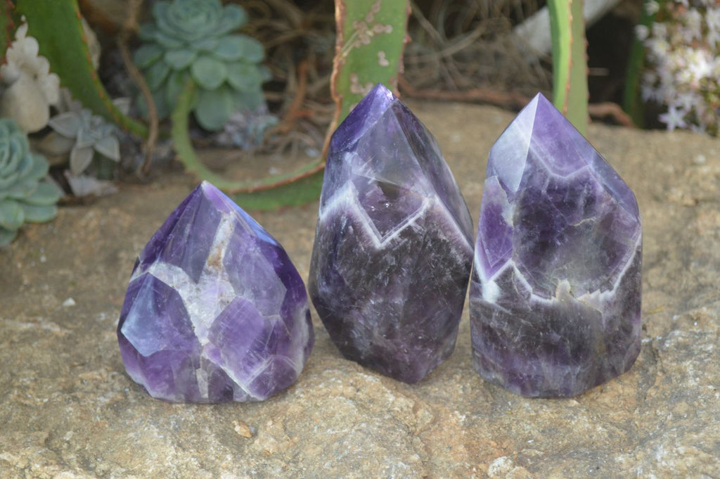 Polished Dark Chevron Amethyst Points x 3 From Zambia - Toprock Gemstones and Minerals 