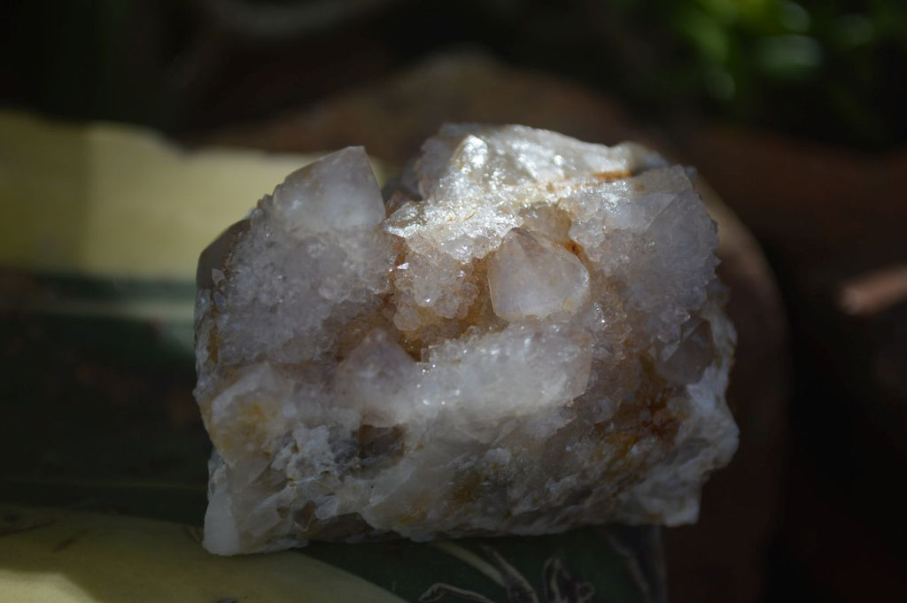 Natural Mixed Spirit Quartz Clusters  x 12 From Boekenhouthoek, South Africa - Toprock Gemstones and Minerals 