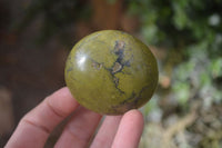 Polished Large Green Opal Galet - Palm Stone x 12 From Madagascar - Toprock Gemstones and Minerals 