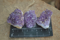 Natural Small Amethyst Plate Specimens  x 53 From Kwaggafontein, South Africa - TopRock