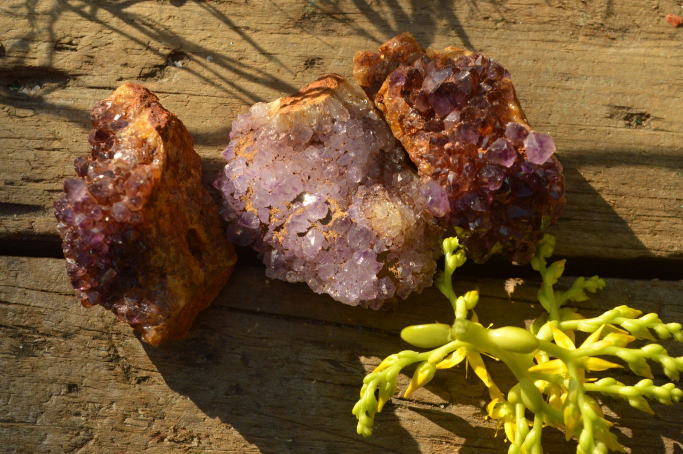 Natural Small Dark "Amethystos" Amethyst Clusters x 35 From Kwaggafontein, South Africa - TopRock