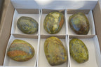 Polished Green Opal Standing Free Forms  x 6 From Madagascar - Toprock Gemstones and Minerals 