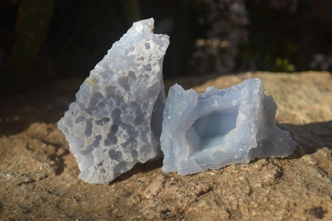Natural Etched Blue Chalcedony Specimens  x 6 From Nsanje, Malawi - Toprock Gemstones and Minerals 
