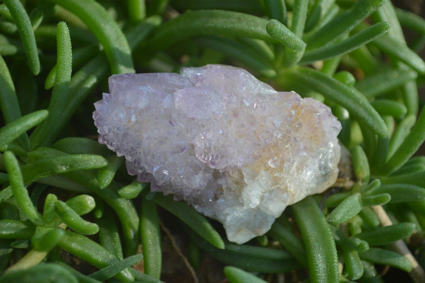 Natural Spirit Amethyst Quartz Crystals  x 20 From Boekenhouthoek, South Africa - Toprock Gemstones and Minerals 