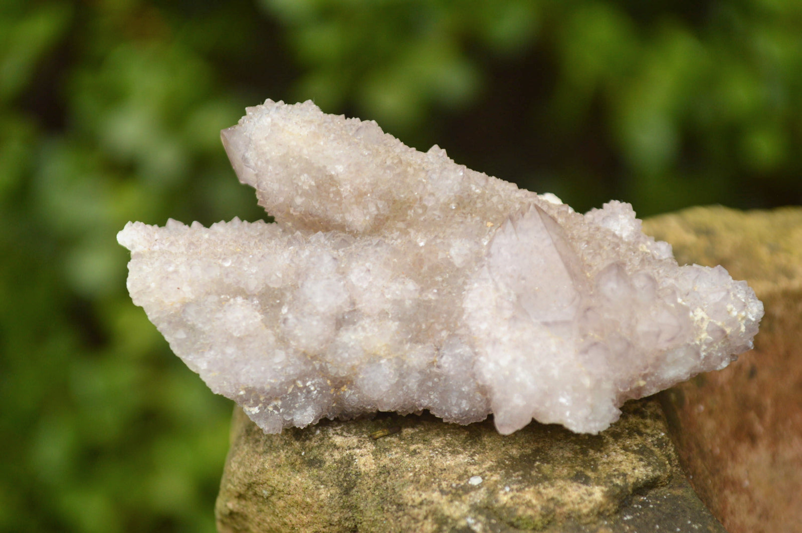 Natural Small Mixed Colour Spirit Quartz Clusters x 24 From Boekenhouthoek, South Africa - TopRock